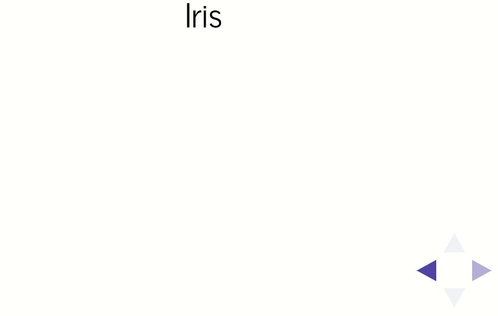 revealjsでチャンクをincrementalに表示した例